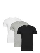 Slim Crewneck 3-Pack Tops T-Kortærmet Skjorte Black Polo Ralph Lauren