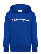 Hooded Sweatshirt Sport Sweatshirts & Hoodies Hoodies Blue Champion