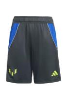 Messi Short Y Sport Shorts Sport Shorts Grey Adidas Performance