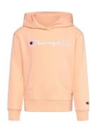 Hooded Sweatshirt Tops Sweatshirts & Hoodies Hoodies Pink Champion