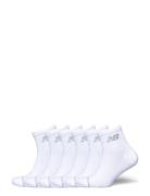 Performance Basic Ankle 6 Pack Sport Sport Clothing Sport Socks White ...