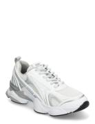 Speedster-E Sneaker Low-top Sneakers White Steve Madden