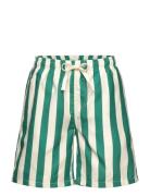 Tnnibes Swim Shorts Badeshorts Green The New