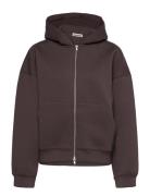 Scuba Hoodie Tops Sweatshirts & Hoodies Hoodies Brown Weekday