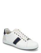 Trint Low-top Sneakers White Dune London