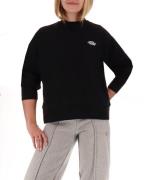 Dickies Sweatshirt - Summerdale - Sort