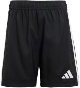 adidas Performance Shorts - Tastigo25 - Sort